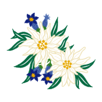 Chaoxing Quotes Chaoxing Quotes