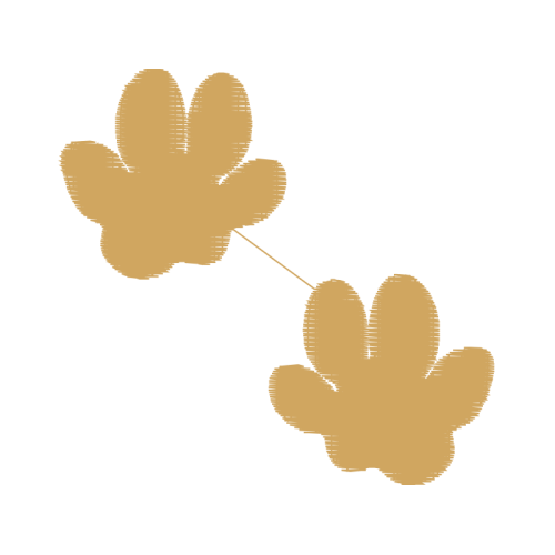 Craft Quotes Craft Quotes