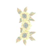 Creative Arts Quotes