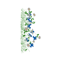 Delphinium Quotes Delphinium Quotes