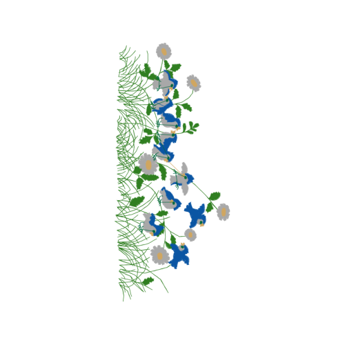 Delphinium Quotes Delphinium Quotes