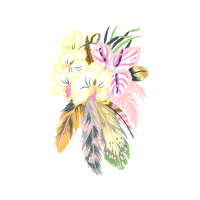 Dendrobium Quotes Dendrobium Quotes