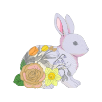 Domestic Rabbit Quotes