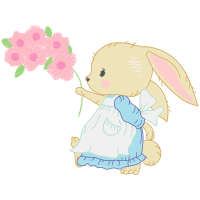 Domestic Rabbit Quotes