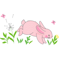 Domestic Rabbit Quotes