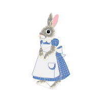 Domestic Rabbit Quotes