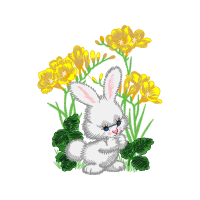 Domestic Rabbit Quotes Domestic Rabbit Quotes