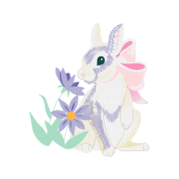 Domestic Rabbit Quotes