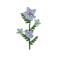 Drawing Quotes Drawing Quotes