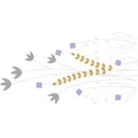 Drawing Quotes Drawing Quotes