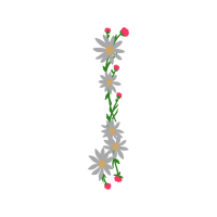 Floral Quotes Floral Quotes