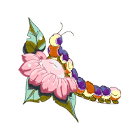 Flower Quotes Flower Quotes