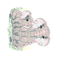 Illustration Quotes Illustration Quotes