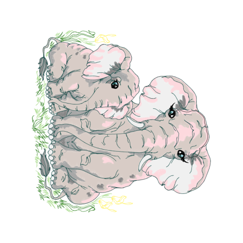 Illustration Quotes Illustration Quotes