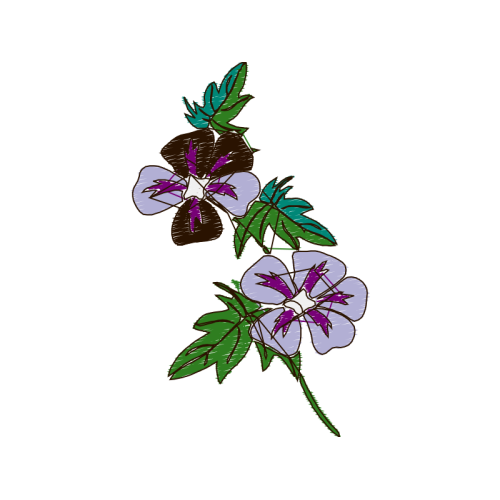 Illustration Quotes Illustration Quotes