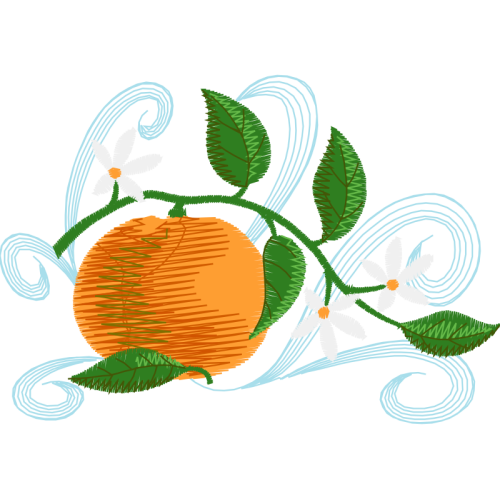 Illustration Quotes Illustration Quotes