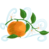 Illustration Quotes Illustration Quotes