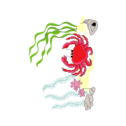 Illustration Quotes Illustration Quotes