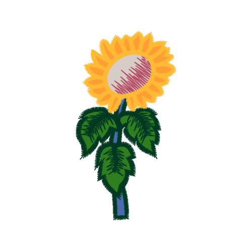 Illustration Quotes Illustration Quotes