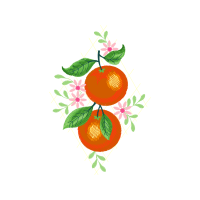 Mandarin Orange Quotes