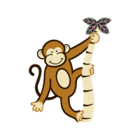 Old World Monkeys Quotes