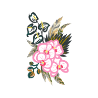 Orchids Quotes Orchids Quotes