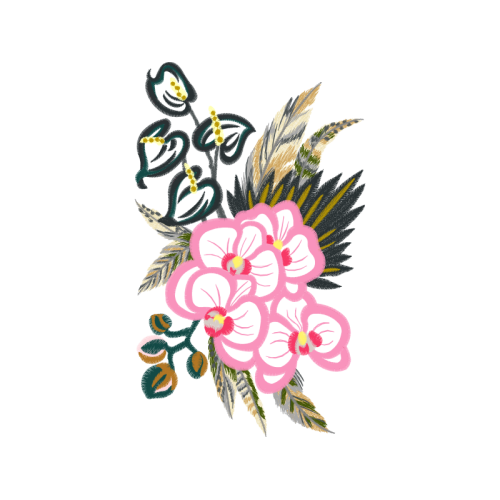 Orchids Quotes Orchids Quotes