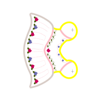 Pink Quotes Pink Quotes