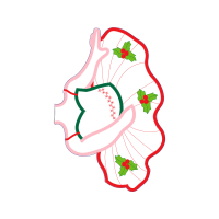 Red Quotes Red Quotes