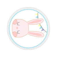 Scouting Quotes Scouting Quotes