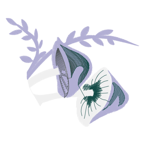 Sketch Quotes Sketch Quotes