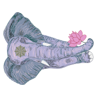 Sock Quotes Sock Quotes