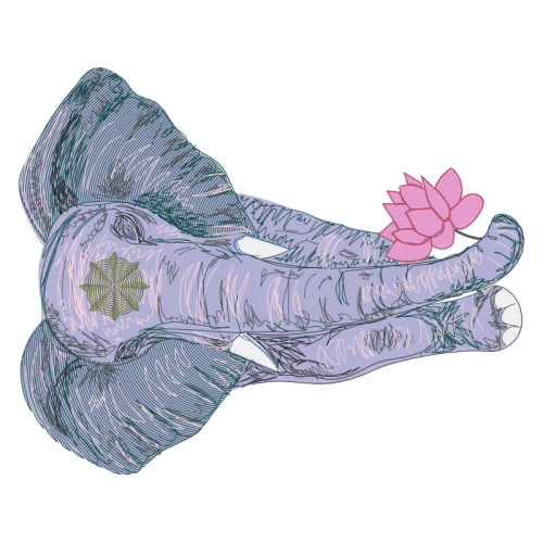 Sock Quotes Sock Quotes