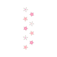 Star Nosed Mole Quotes Star Nosed Mole Quotes