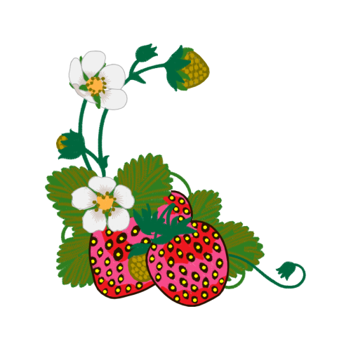 Strawberry Quotes Strawberry Quotes