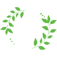 T Shirt Quotes T Shirt Quotes