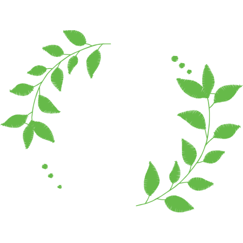 T Shirt Quotes T Shirt Quotes