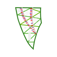 Triangle Quotes Triangle Quotes