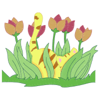 Tulipa Humilis Quotes Tulipa Humilis Quotes