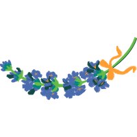 Vector Graphics Quotes