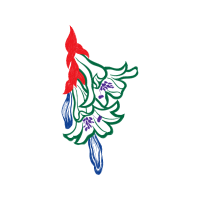 Visual Arts Quotes Visual Arts Quotes