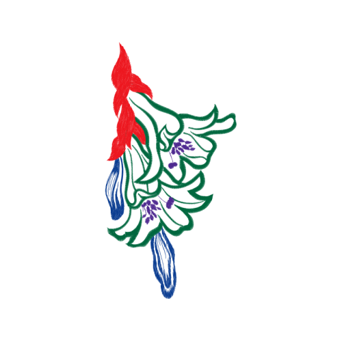 Visual Arts Quotes Visual Arts Quotes