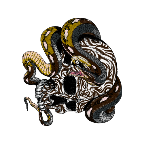 African Elephants Quotes African Elephants Quotes