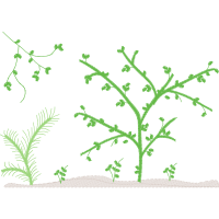 Angelyka Barbosa Matrizes De Bordado Quotes Angelyka Barbosa Matrizes De Bordado Quotes