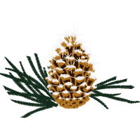 Babassu Quotes Babassu Quotes