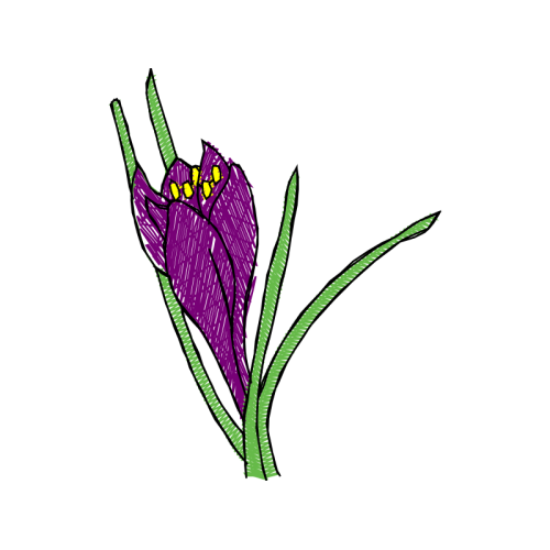 Drawing Quotes Drawing Quotes