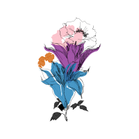 Drawing Quotes Drawing Quotes