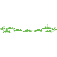 Evergreen Quotes Evergreen Quotes