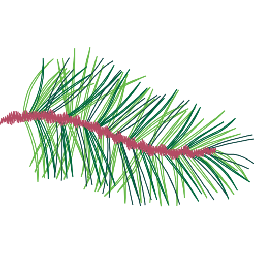 Grass Quotes Grass Quotes