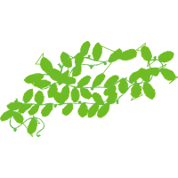 Illustration Quotes Illustration Quotes